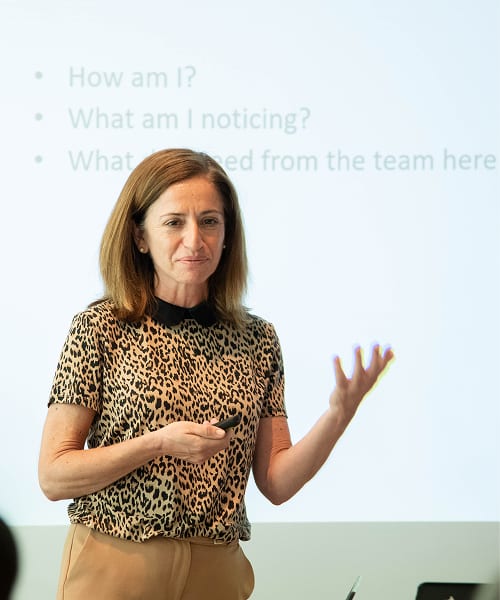 Paula Antonio presenting to a group